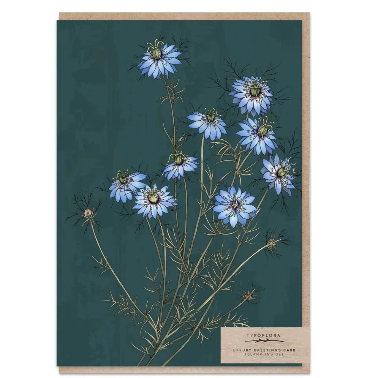 Blank Premium Botanical Card